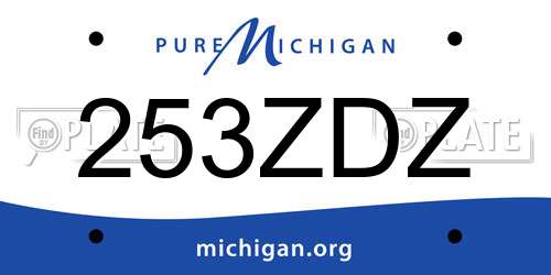 253ZDZ Michigan License Plate