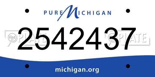 2542437 Michigan License Plate
