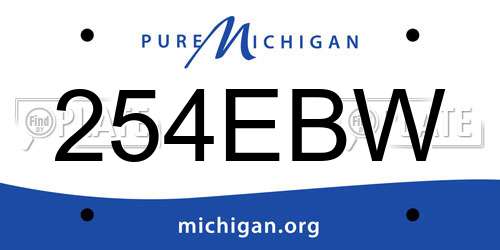 254EBW Michigan License Plate