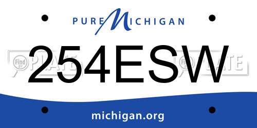 254ESW Michigan License Plate