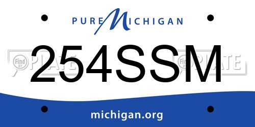 254SSM Michigan License Plate