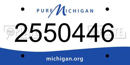 2550446 Michigan License Plate