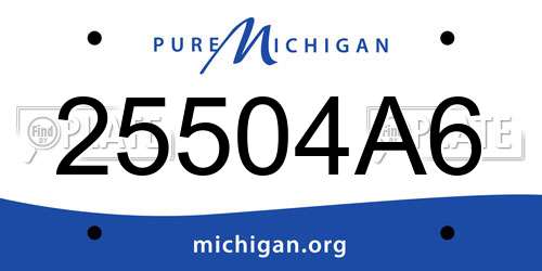 25504A6 Michigan License Plate
