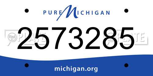 2573285 Michigan License Plate