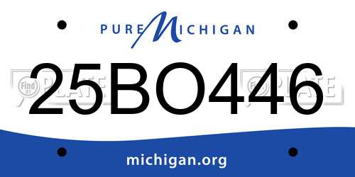 25BO446 Michigan License Plate