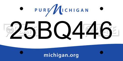 25BQ446 Michigan License Plate