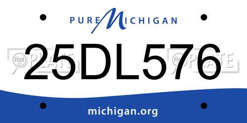 25DL576 Michigan License Plate