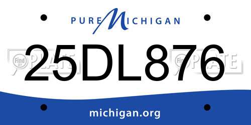 25DL876 Michigan License Plate