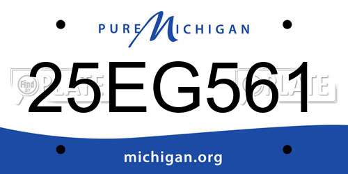 25EG561 Michigan License Plate
