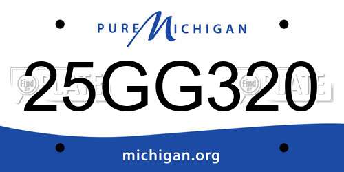 25GG320 Michigan License Plate