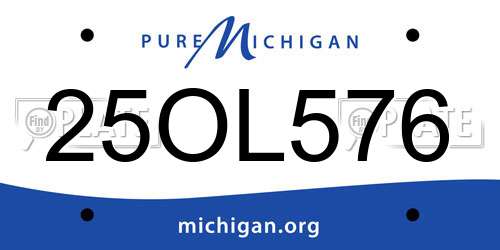 25OL576 Michigan License Plate