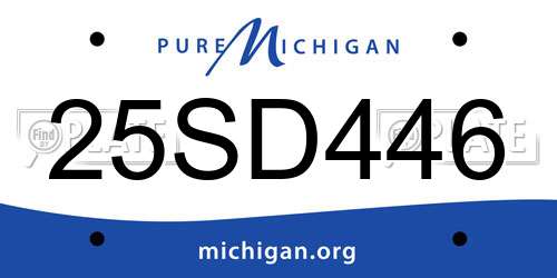 25SD446 Michigan License Plate