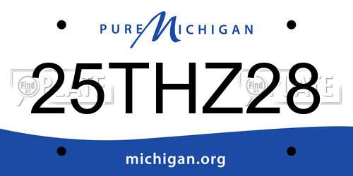 25THZ28 Michigan License Plate