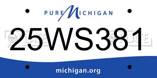 25WS381 Michigan License Plate