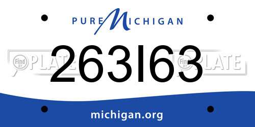 263I63 Michigan License Plate