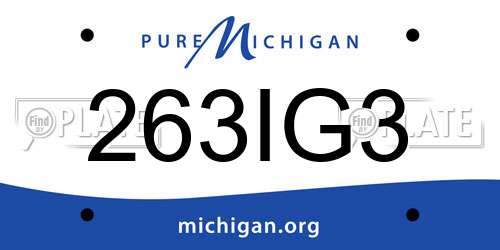 263IG3 Michigan License Plate