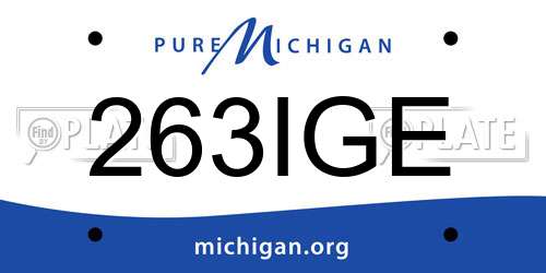 263IGE Michigan License Plate