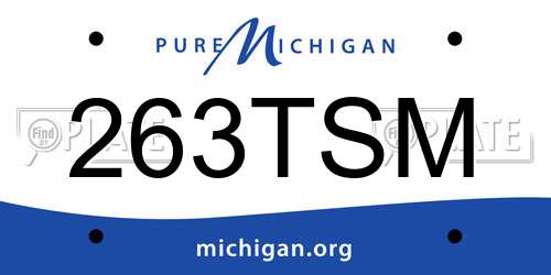 263TSM Michigan License Plate