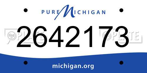 2642173 Michigan License Plate
