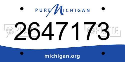 2647173 Michigan License Plate