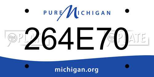 264E70 Michigan License Plate