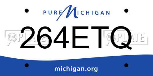 264ETQ Michigan License Plate
