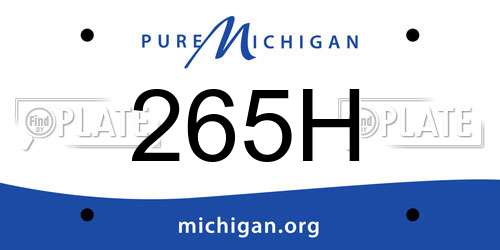 265H Michigan License Plate