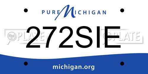272SIE Michigan License Plate