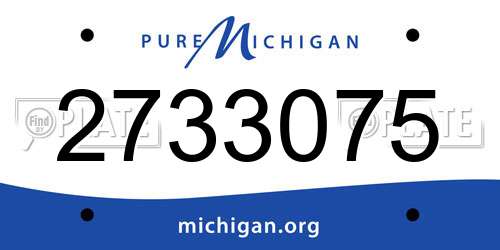 2733075 Michigan License Plate