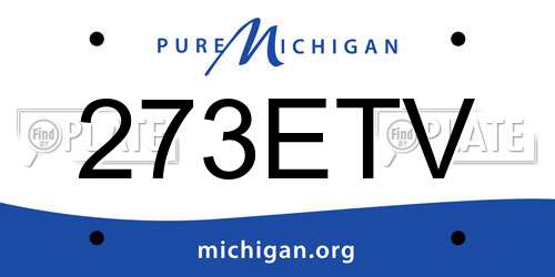 273ETV Michigan License Plate