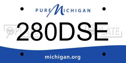 280DSE Michigan License Plate