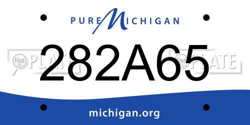 282A65 Michigan License Plate
