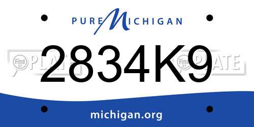 2834K9 Michigan License Plate