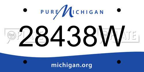 28438W Michigan License Plate