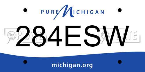 284ESW Michigan License Plate