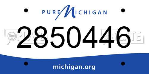 2850446 Michigan License Plate