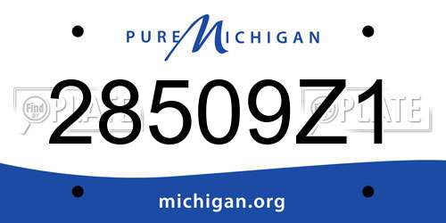 28509Z1 Michigan License Plate
