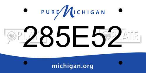 285E52 Michigan License Plate