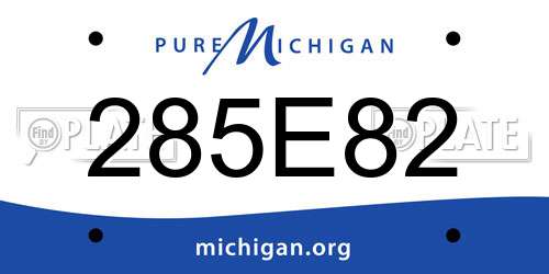 285E82 Michigan License Plate