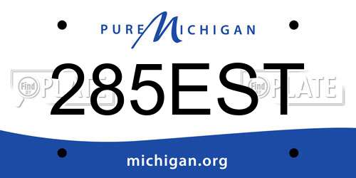 285EST Michigan License Plate
