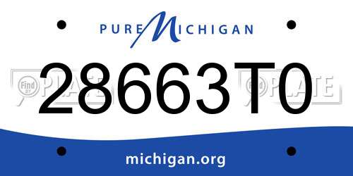 28663T0 Michigan License Plate