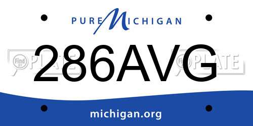 286AVG Michigan License Plate