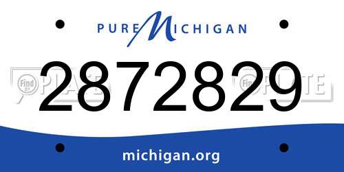 2872829 Michigan License Plate