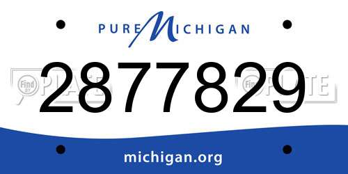 2877829 Michigan License Plate