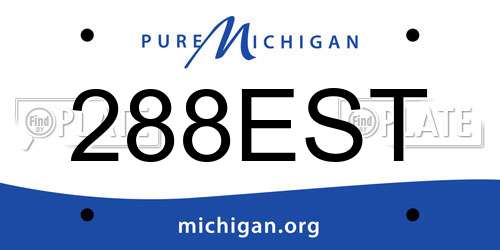288EST Michigan License Plate