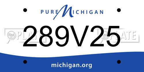 289V25 Michigan License Plate