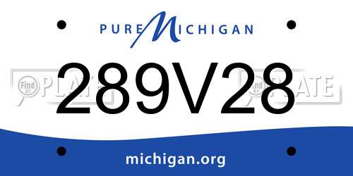 289V28 Michigan License Plate