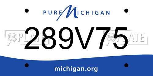 289V75 Michigan License Plate