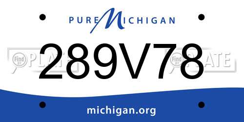289V78 Michigan License Plate