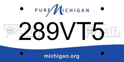 289VT5 Michigan License Plate